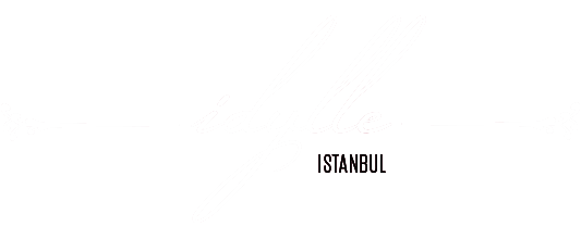 light logo